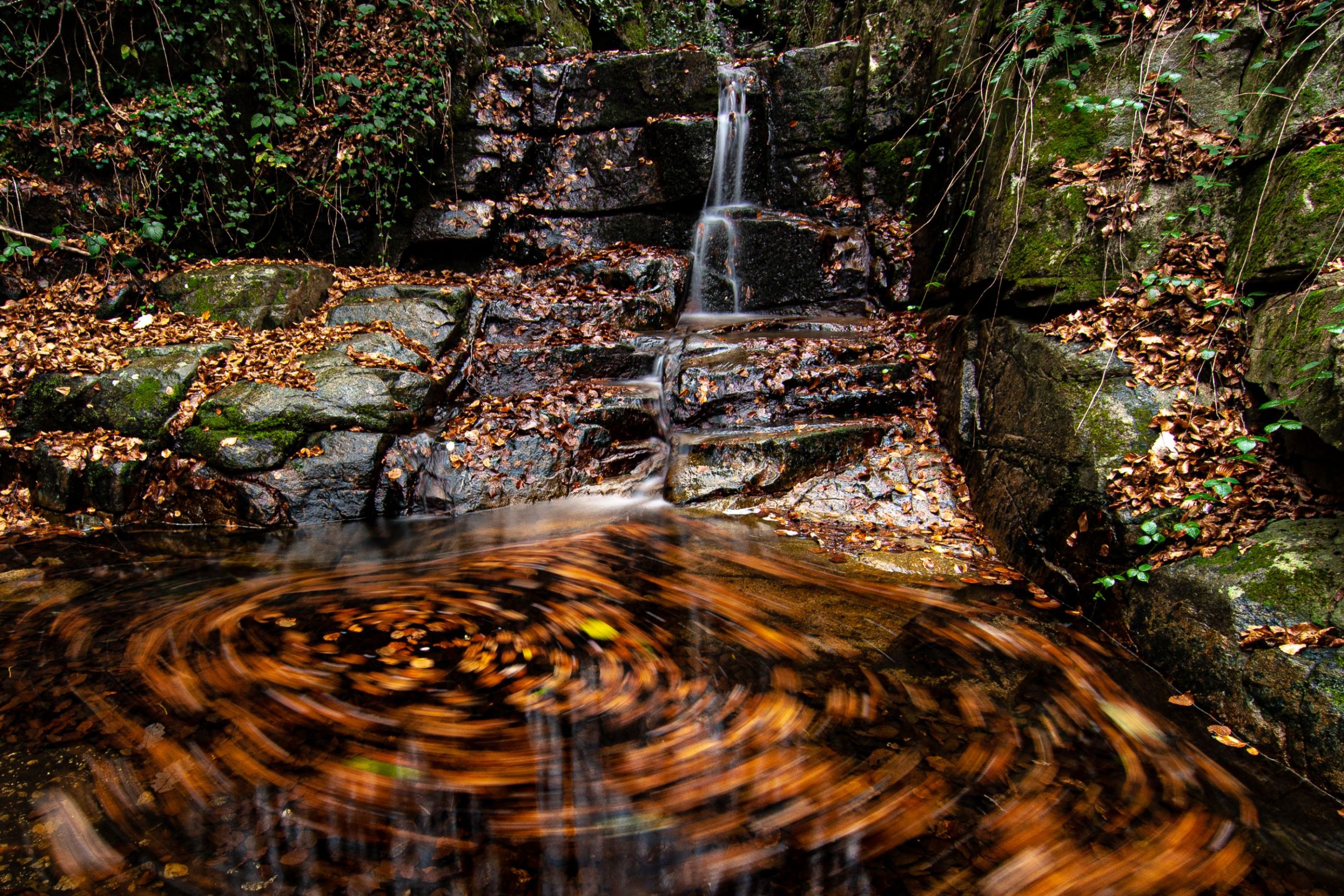 MONTSENY  corrents d'aigua  11-2020-1836